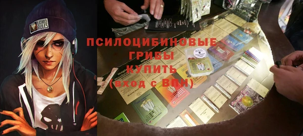 герыч Алексин