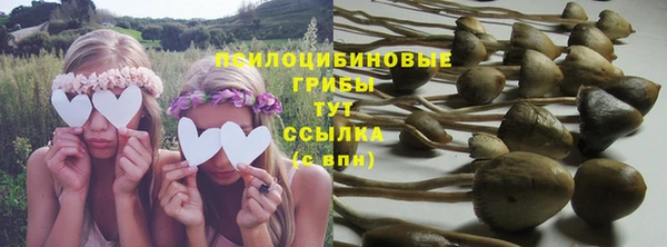 СК Алзамай