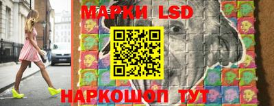 гашик Берёзовский