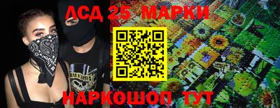 гашик Берёзовский