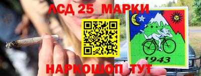 гашик Берёзовский