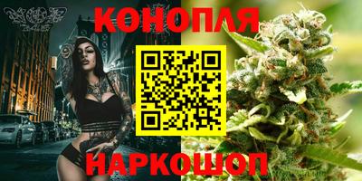 ALPHA PVP Беслан