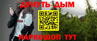 гашик Берёзовский