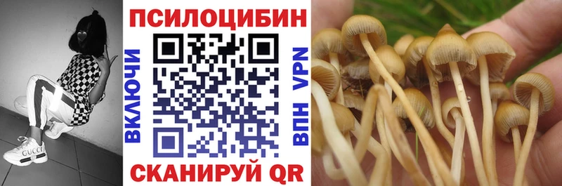 Галлюциногенные грибы Psilocybe  Железноводск 