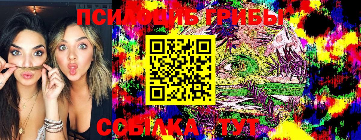 Галлюциногенные грибы Cubensis Железноводск