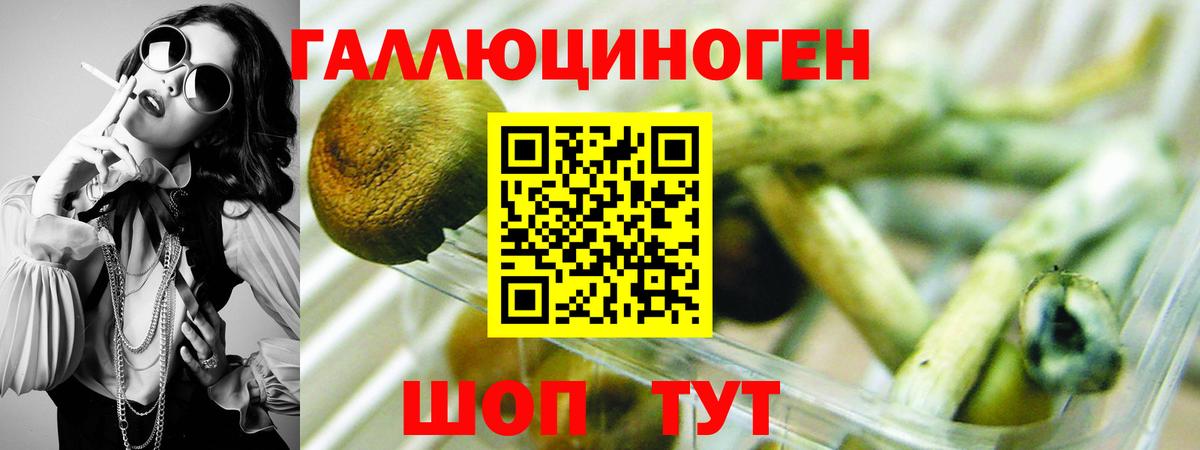 Железноводск  Галлюциногенные грибы прущие грибы  Вход с VPN 